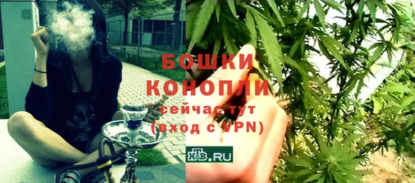 дживик Пестово