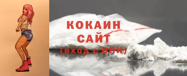 мдпв Осинники