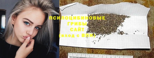 шишки Беслан