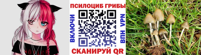 Галлюциногенные грибы ЛСД  Нюрба 